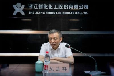 省税务局党委书记、副局长龙岳辉莅临公司调研